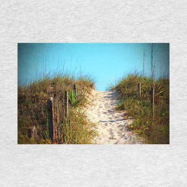 Steep Beach Path by Cynthia48